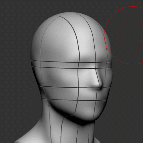 A quick tip to practice anatomy in ZBrush